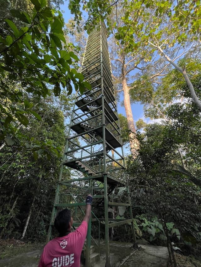 Una alta torre de observación de metal se eleva entre los árboles de la selva amazónica junto a un guía.