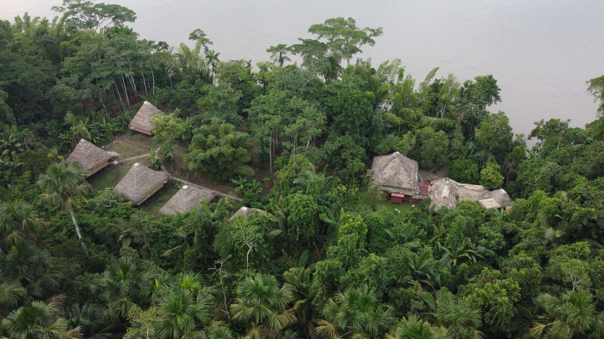 Vista aérea de cabañas con techo de paja del eco-lodge Sinchi Wayra en la selva amazónica de Yasuní.